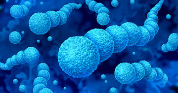 急増する「人食いバクテリア」ってなに？ 予防方法はあるの？の写真