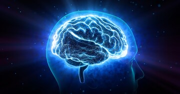 子どもの脳にできるがん、胎児性腫瘍の頻度は？の写真