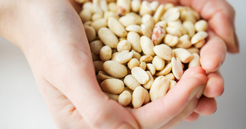 ナッツはカロリーが高いのに太りにくいのか？の写真