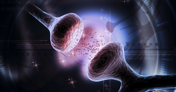 幻覚や発汗を起こす「セロトニン症候群」の危険性、米政府機関が警告の写真