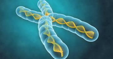 生まれつき免疫が弱い「XLA」の男の子に多い病気とはの写真